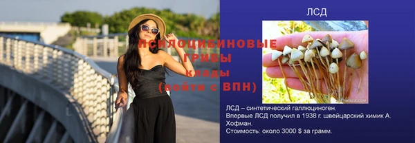 круглые Ладушкин